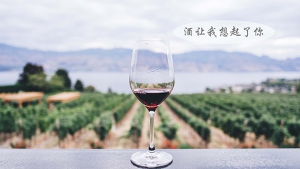 寂寞孤獨(dú)酒一杯圖片